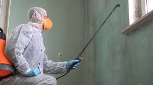 Best Mold Removal for HVAC Installations  in Coburg, OR