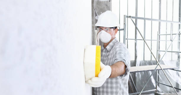 Best Asbestos and Lead Testing During Mold Inspection  in Coburg, OR