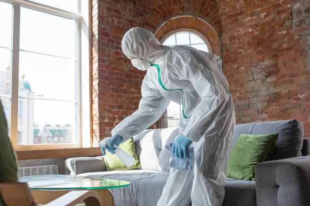 Best Mold Prevention Services  in Coburg, OR