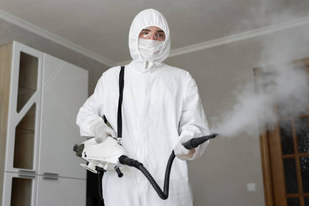 Best Mold Remediation for Healthcare Facilities  in Coburg, OR