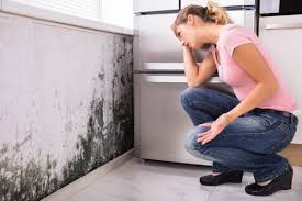 Best Mold Odor Removal Services  in Coburg, OR